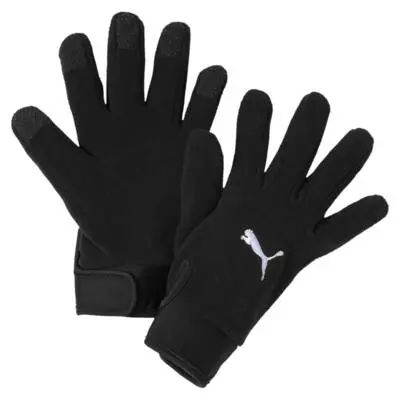 Перчатки Puma Liga 21 Winter Football