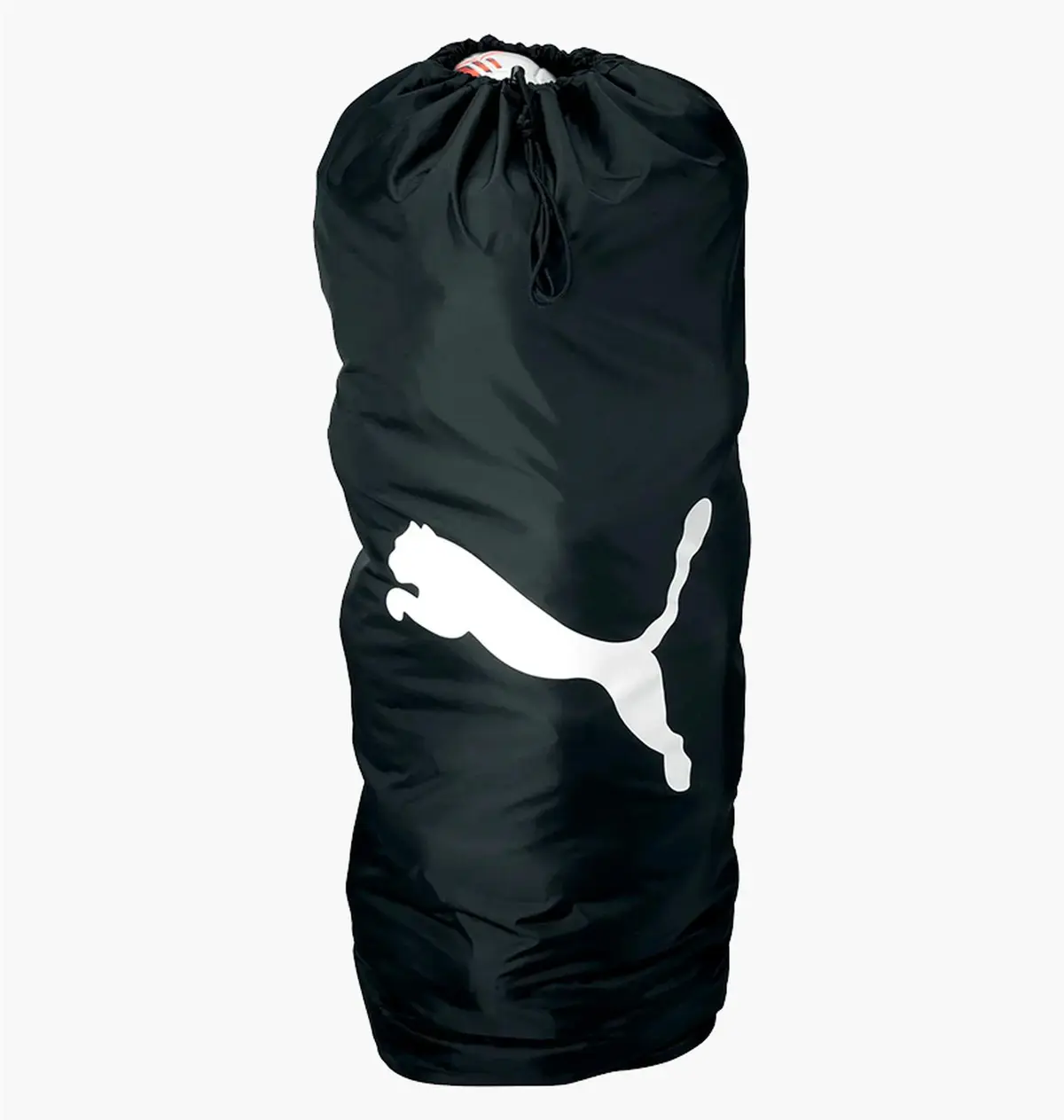 Аксессуары для тренировок Puma Team Ballsack (16)