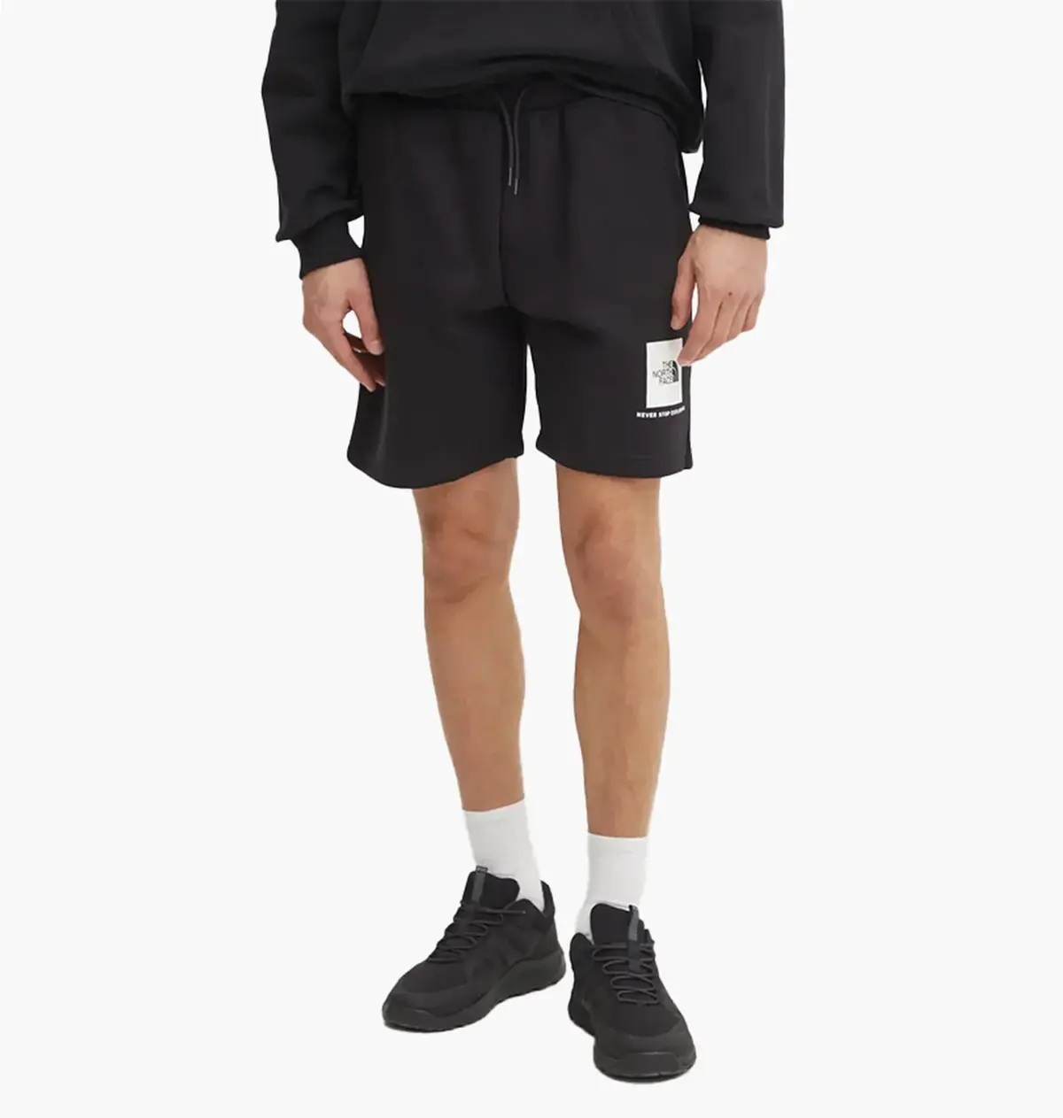 Шорти чоловічі The North Face Box Nse Regular Short Black