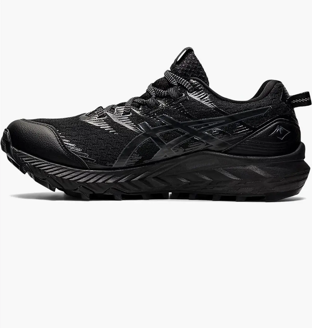 Кросівки жіночі Asics Gel-Trabuco 10 Gtx Black