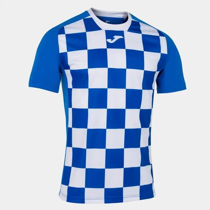 Футболка мужская Joma Flag разноцветная 101465.702