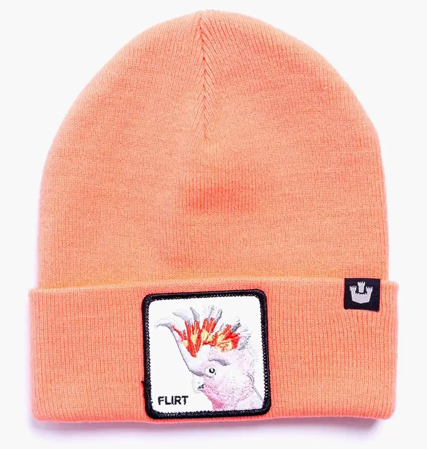 Шапка Goorin Bros Snow Bird