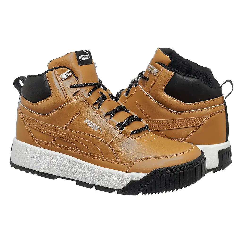 Черевики чоловічі Puma Tarrenz Sb