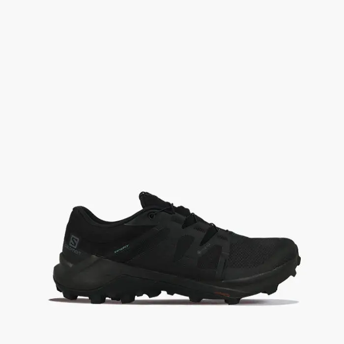 Кросівки чоловічі Salomon Wildcross Gtx