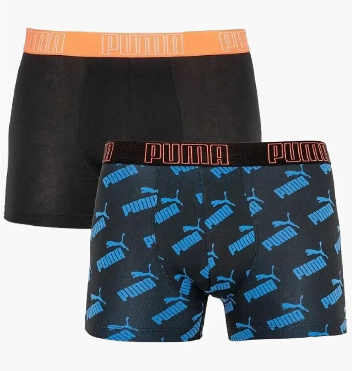 Труси-боксерки чоловічі Puma Big Logo Aop Boxer 2P