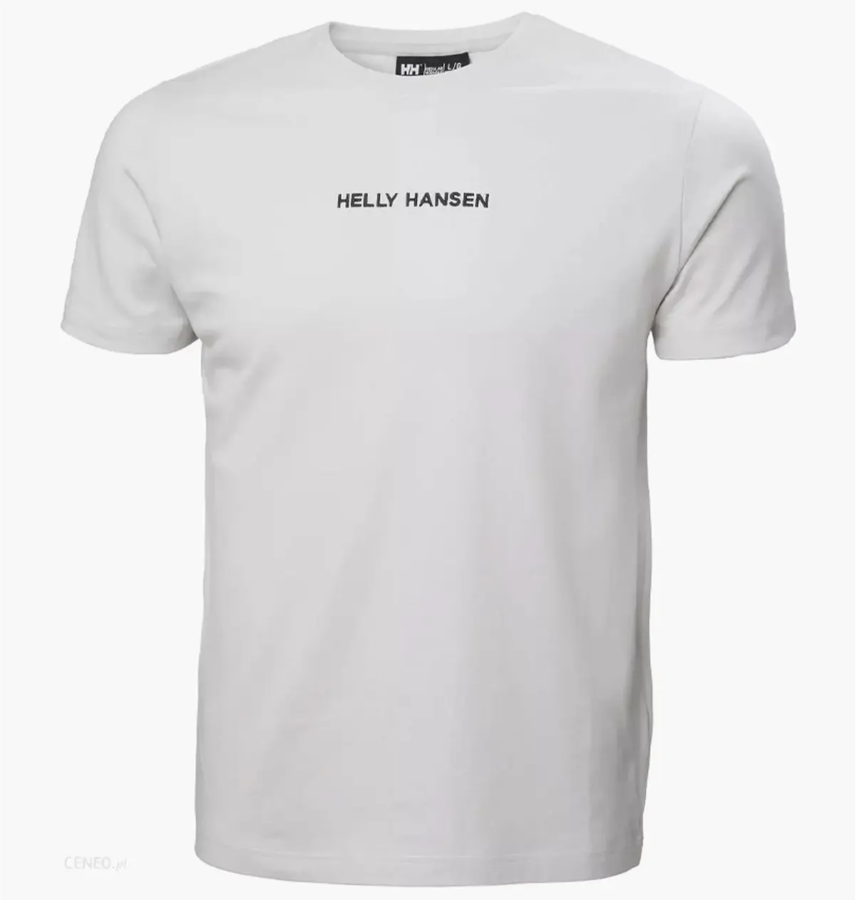 Футболка мужская Helly Hansen Core Graphic Tee