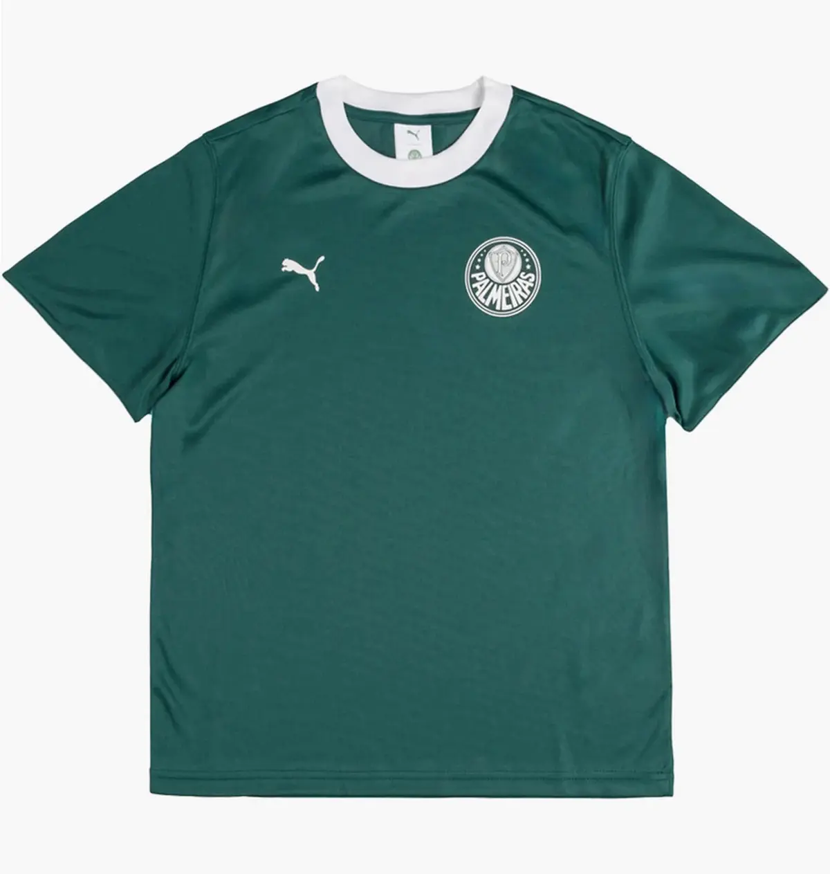 Футболка мужская Puma X Palmeiras Sao Paulo Ringer Tee Green