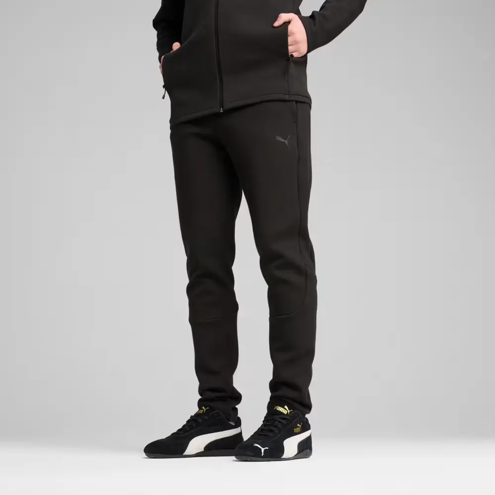 Брюки мужские Puma Evostripe Core Pants