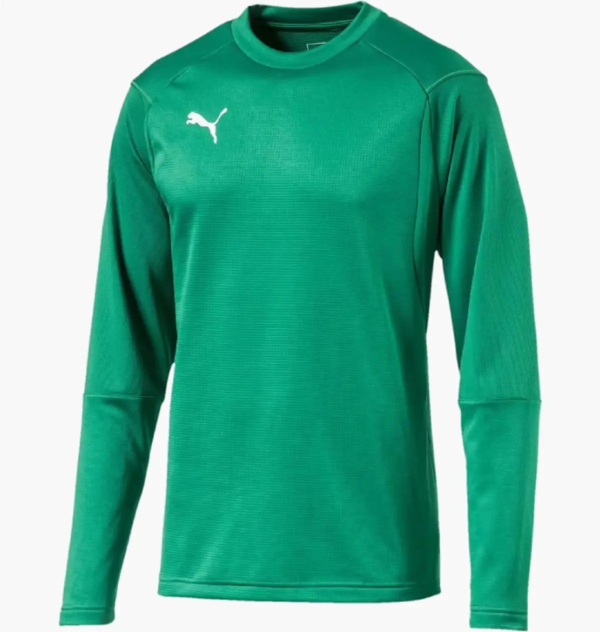 Футбольна форма чоловіча Puma Train Sweat Sn99 Green