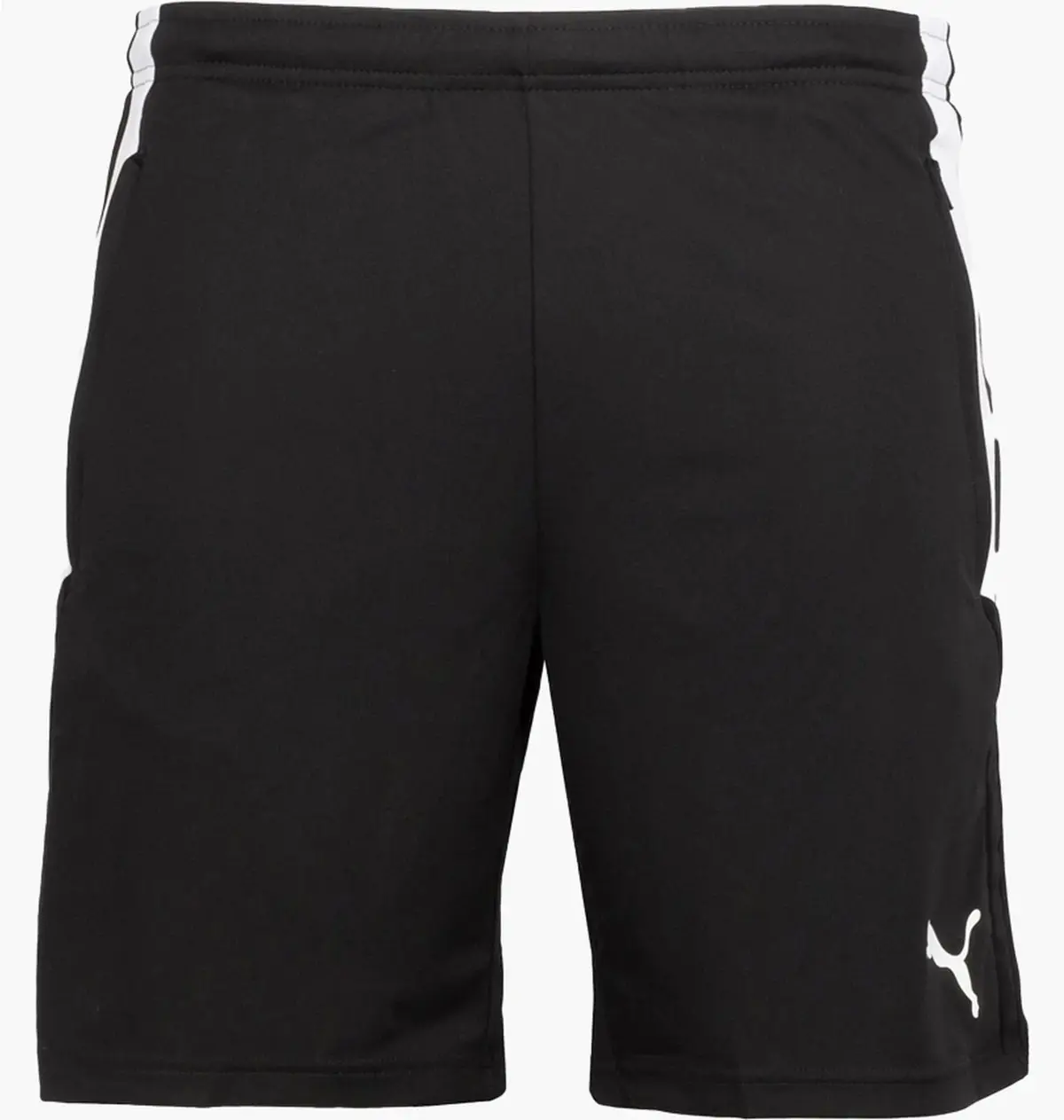 Шорти чоловічі Puma Teamliga Training Shorts Blue