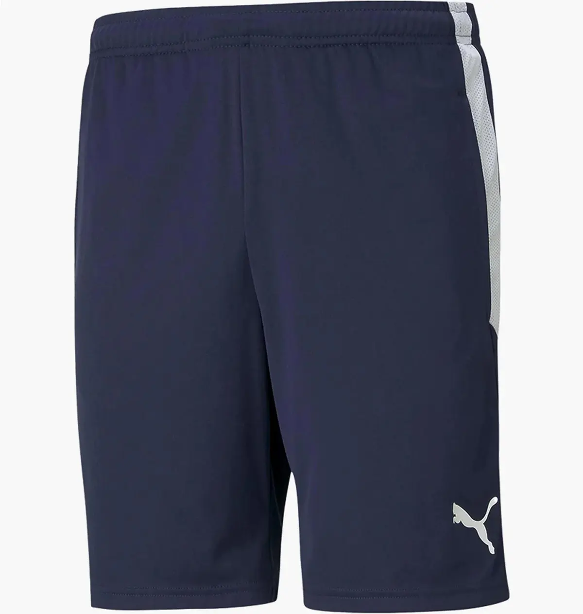 Шорти чоловічі Puma Teamliga Training Shorts Blue