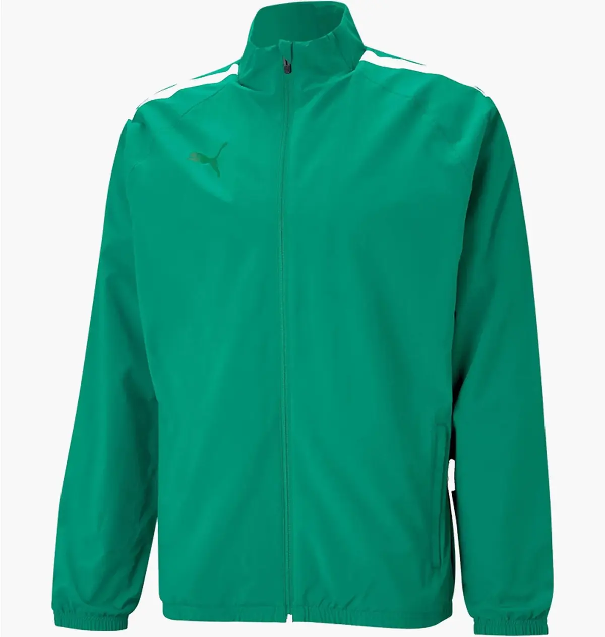 Кофта чоловіча Puma Teamliga Sideline Jacket Green 657259-005