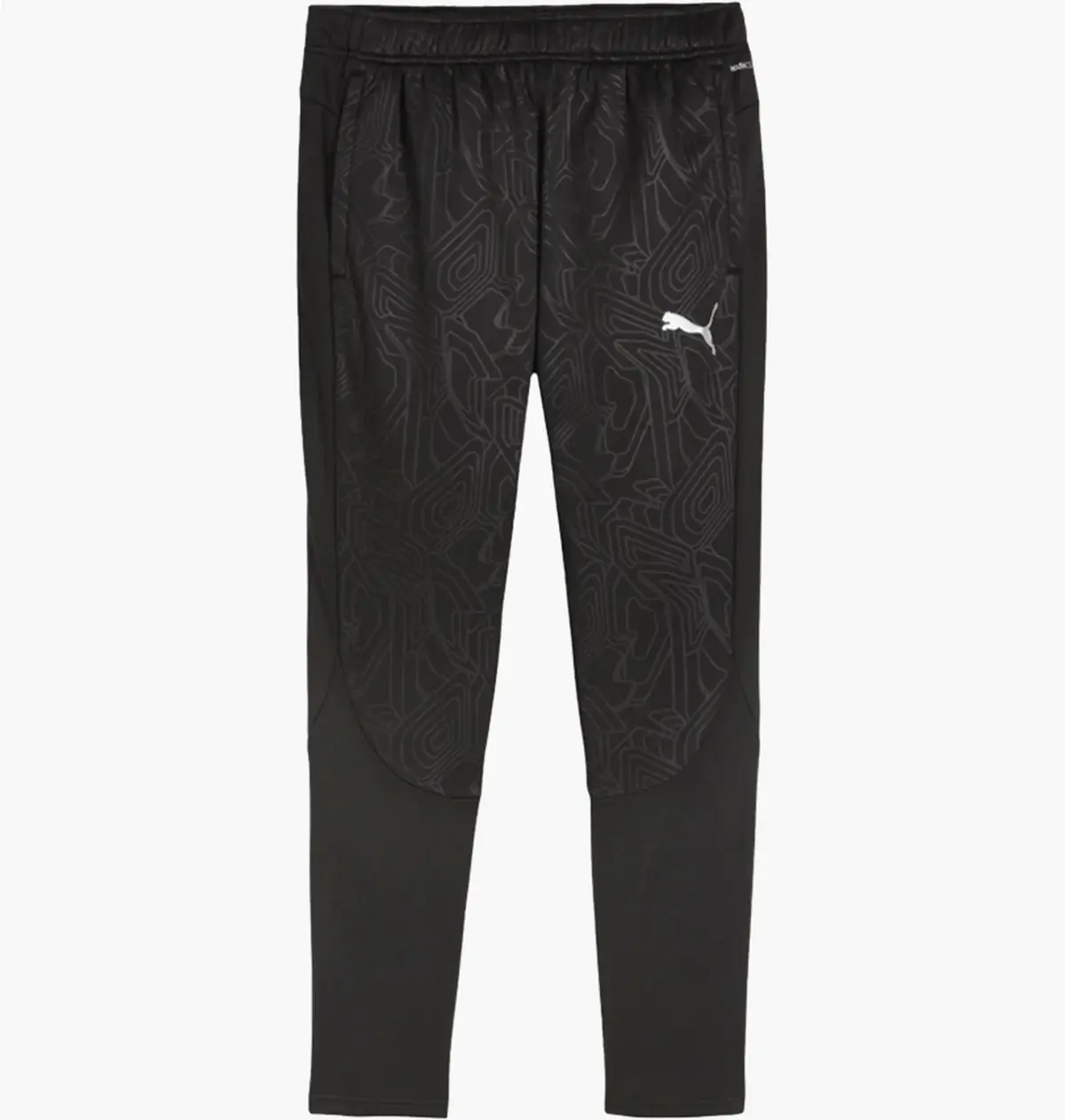 Брюки мужские Puma Teamfinal F03 Black