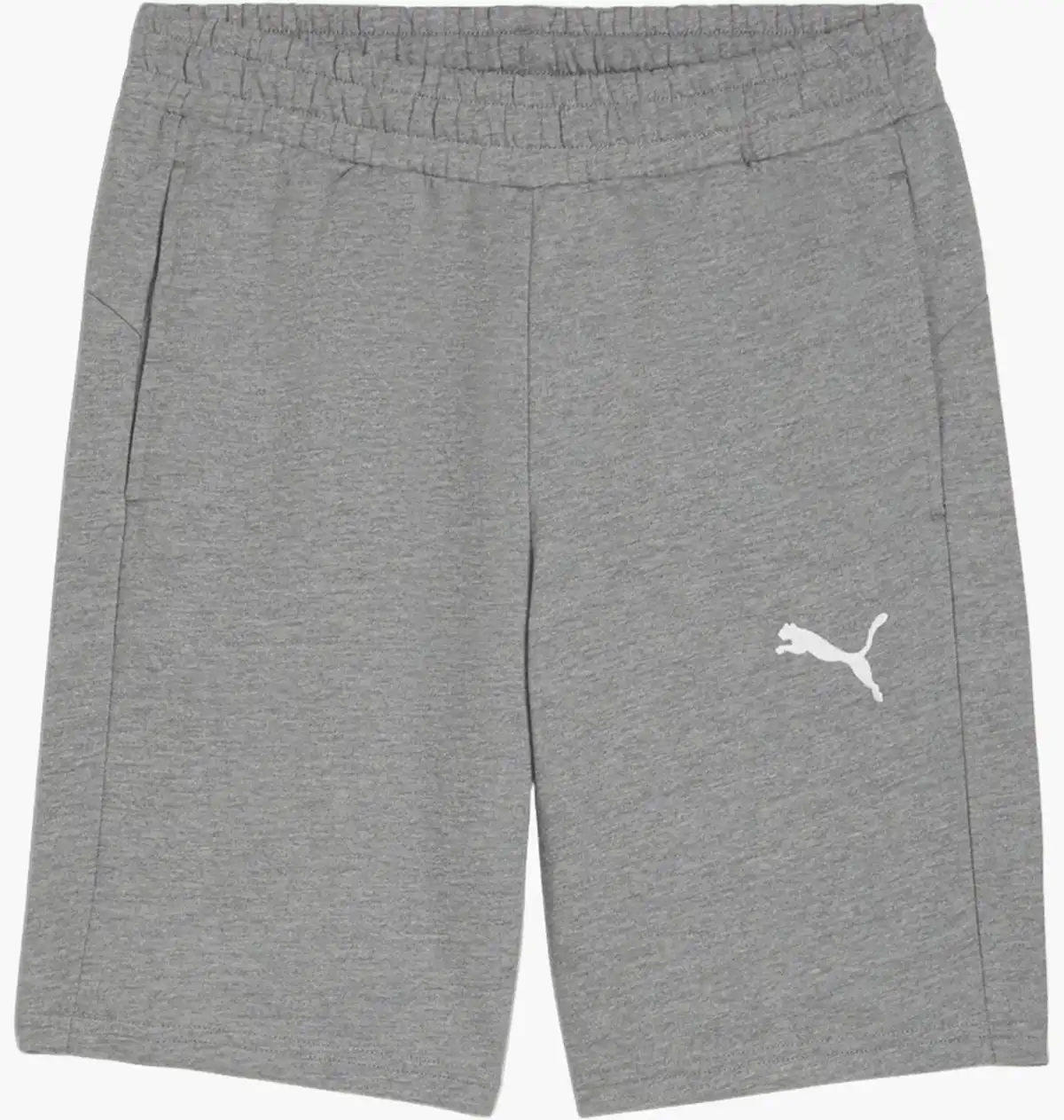 Шорти чоловічі Puma Teamgoal Casuals