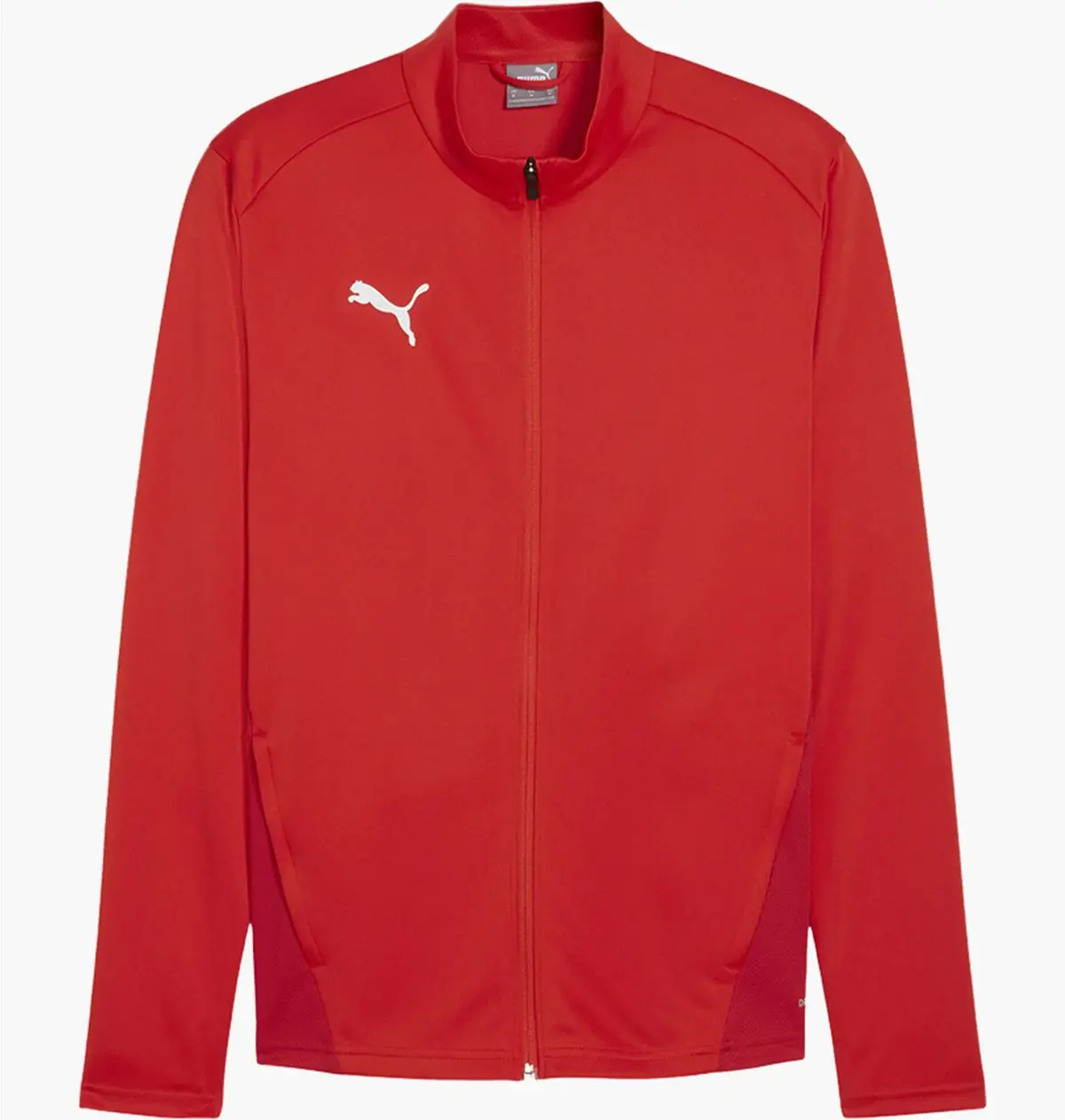 Кофта чоловіча Puma Teamgoal Rood Red