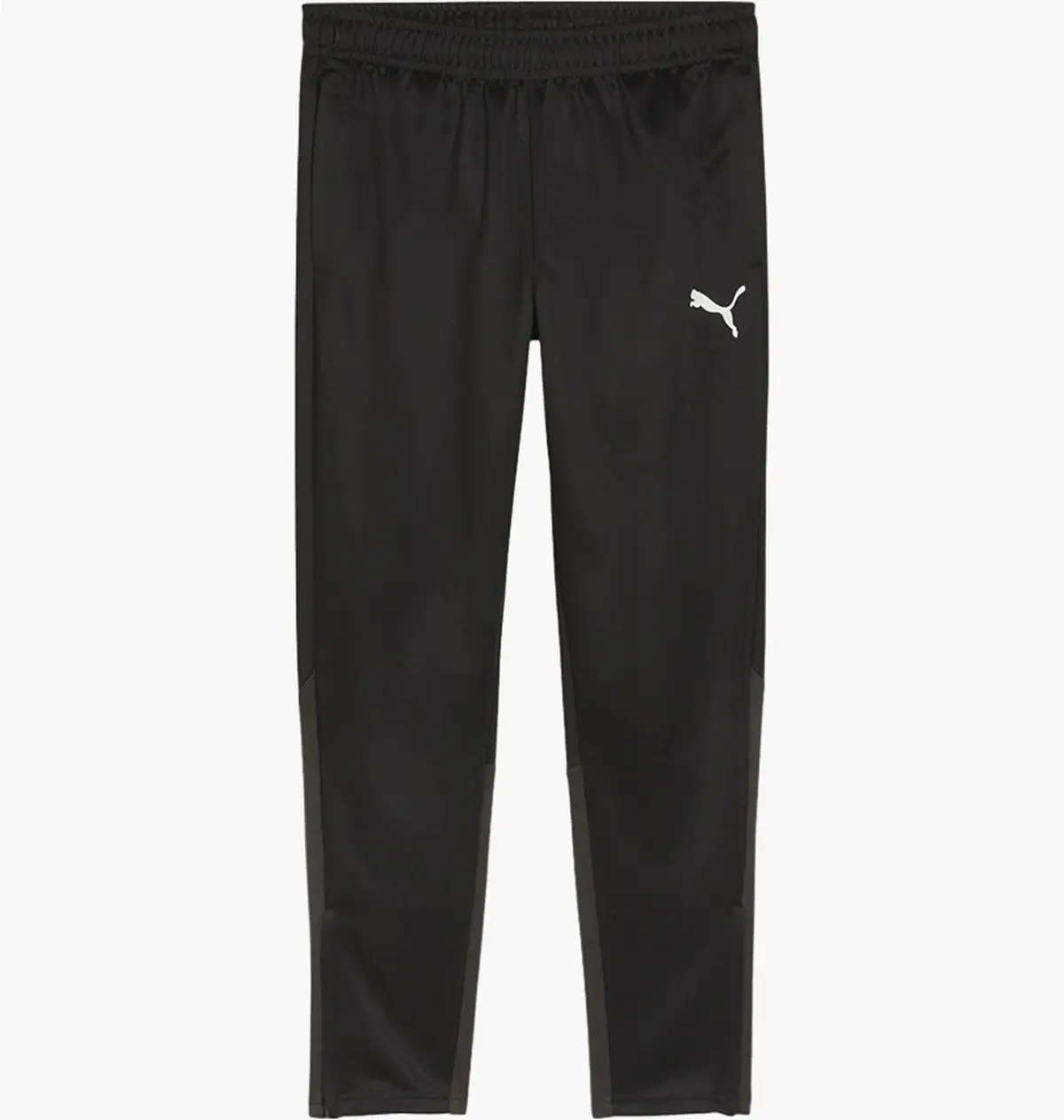 Брюки мужские Puma Teamgoal Training Black