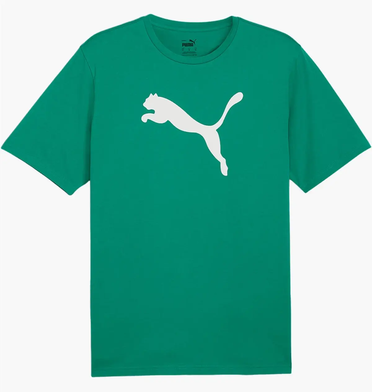 Футболка мужская Puma Teamrise Logo Trainingshirt F05 Green