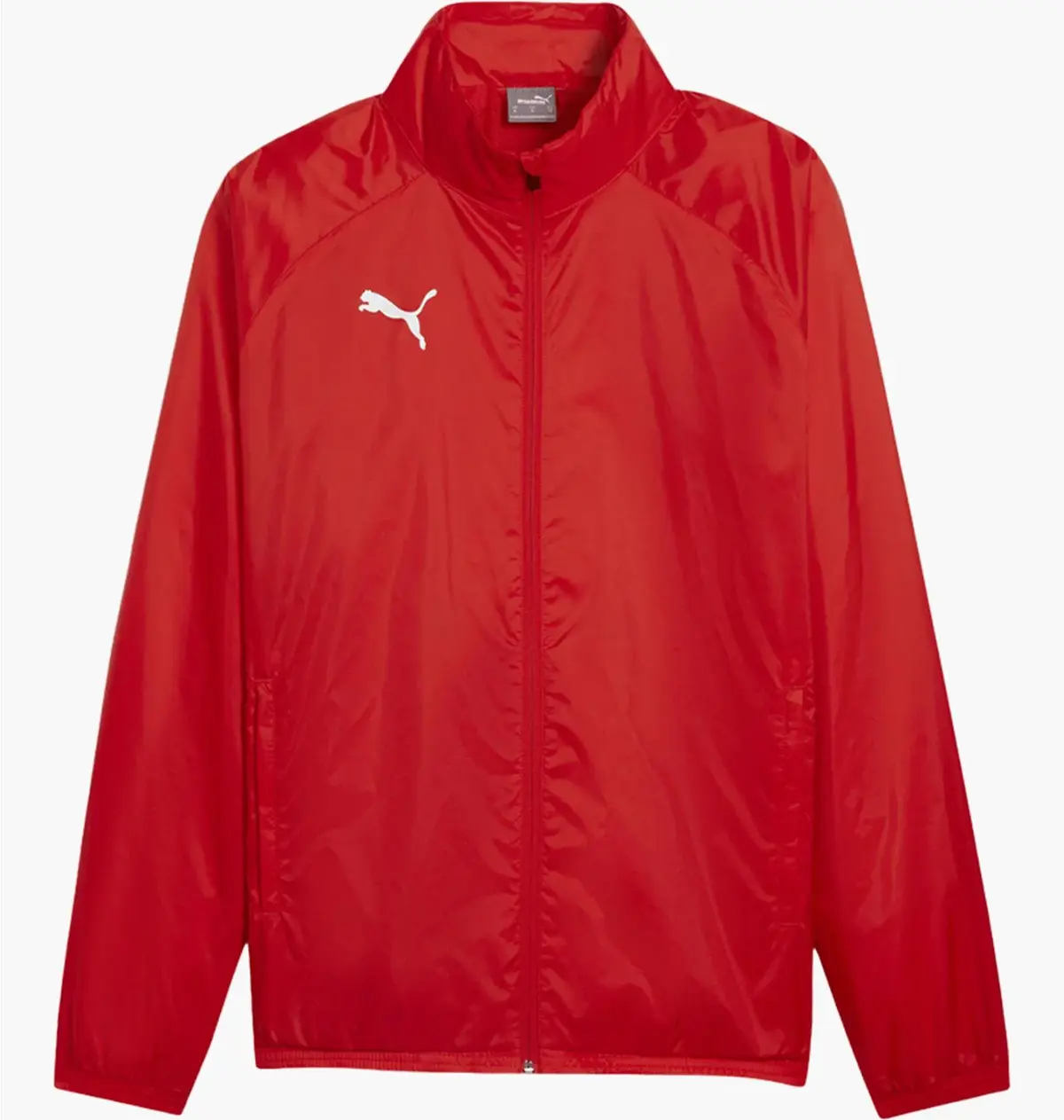 Кофта чоловіча Puma Teamgoal Allwetterjacke Rot F01 Red