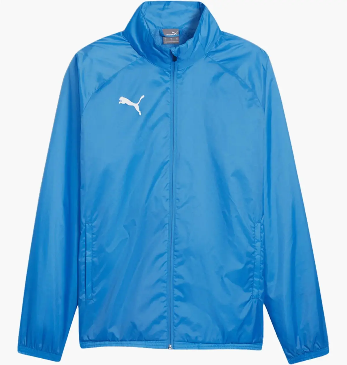 Кофта чоловіча Puma Teamgoal F02 Light Blue