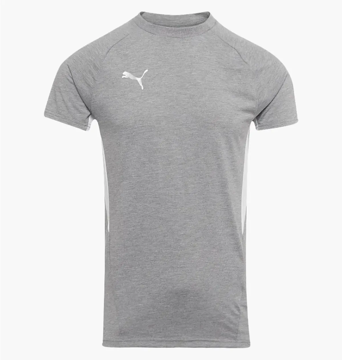 Футболка чоловіча Puma Teamevostripe Grey