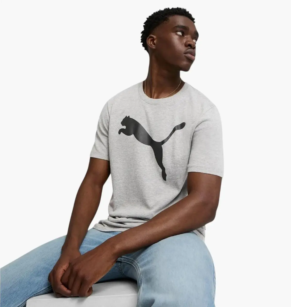 Футболка мужская Puma Avec Graphique Run серая 678890-03