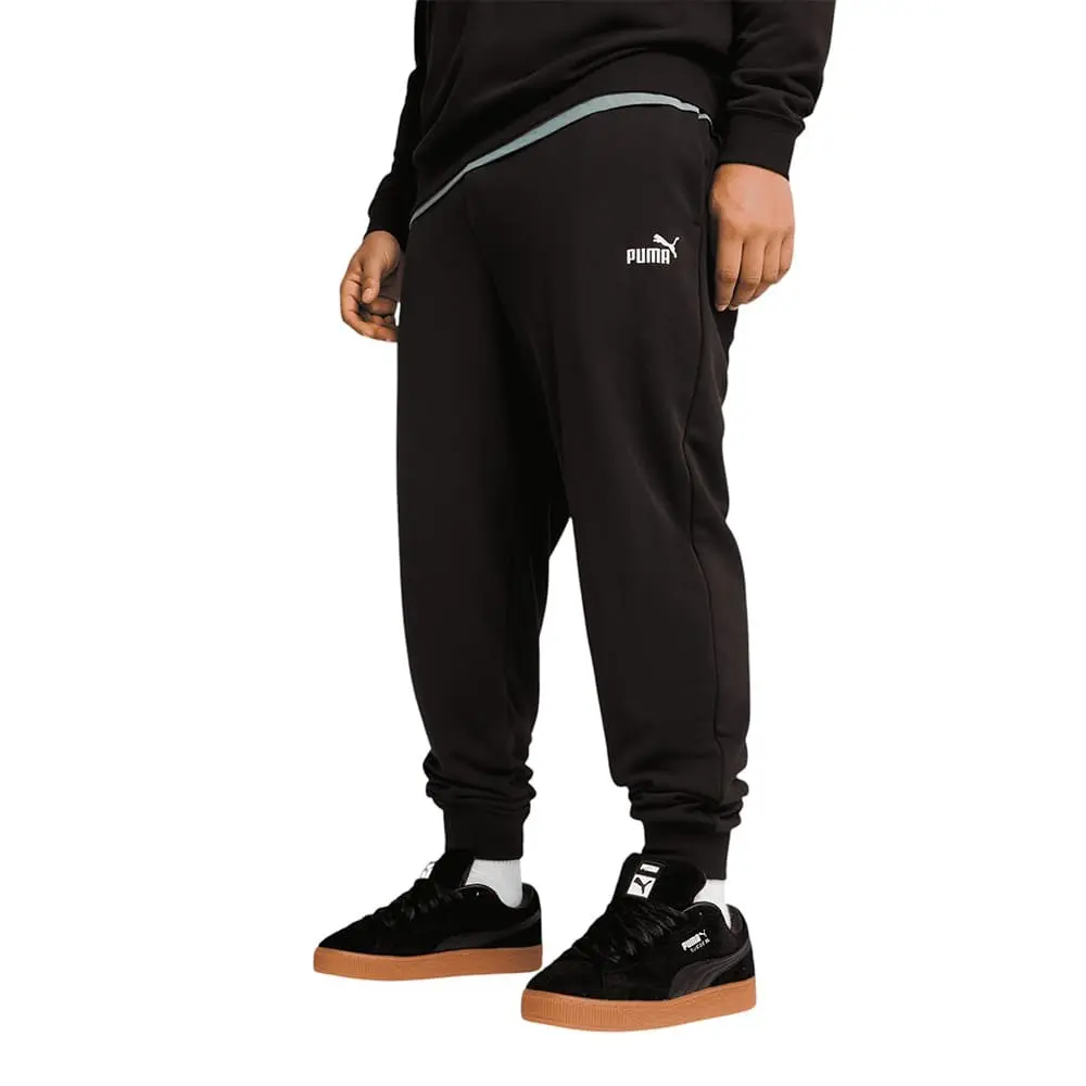 Брюки мужские Puma Ess No. 1 Logo Sweatpants