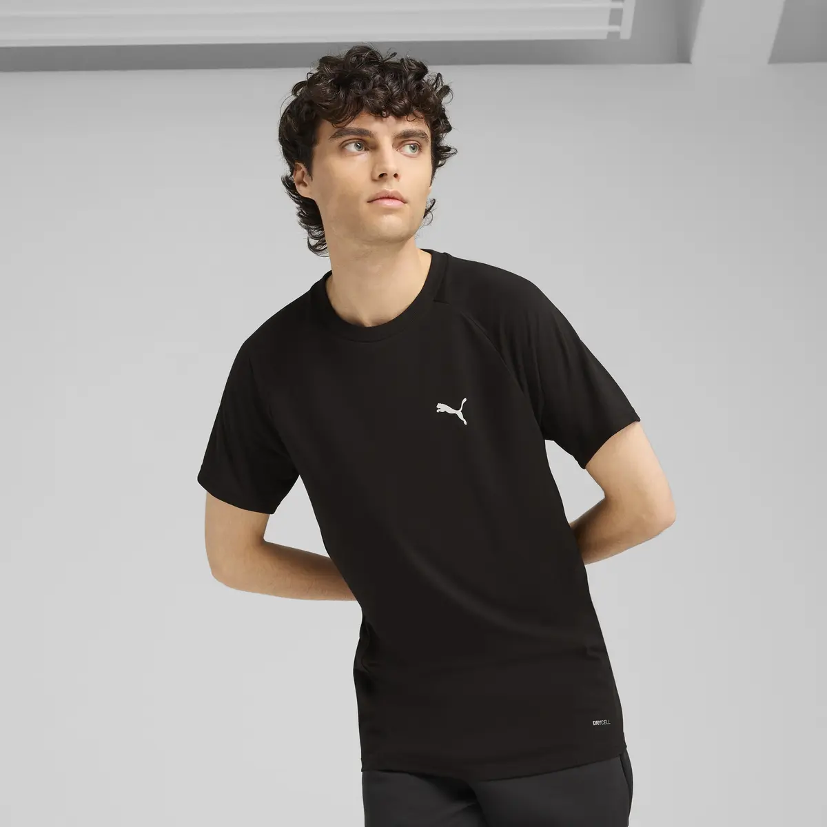Футболка мужская Puma Evostripe Tee
