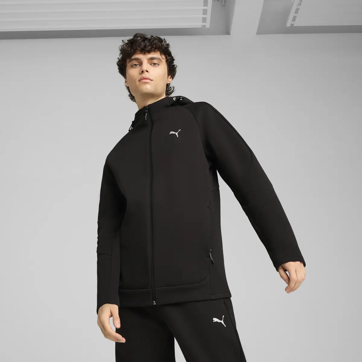 Кофта мужская Puma Evostripe Full-Zip Hoodie Dk