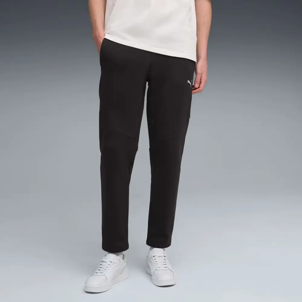 Брюки унисекс Puma Evostripe Pants Dk