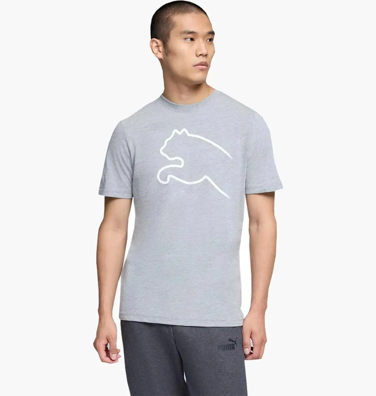 Футболка чоловіча Puma House Of Graphics Grey