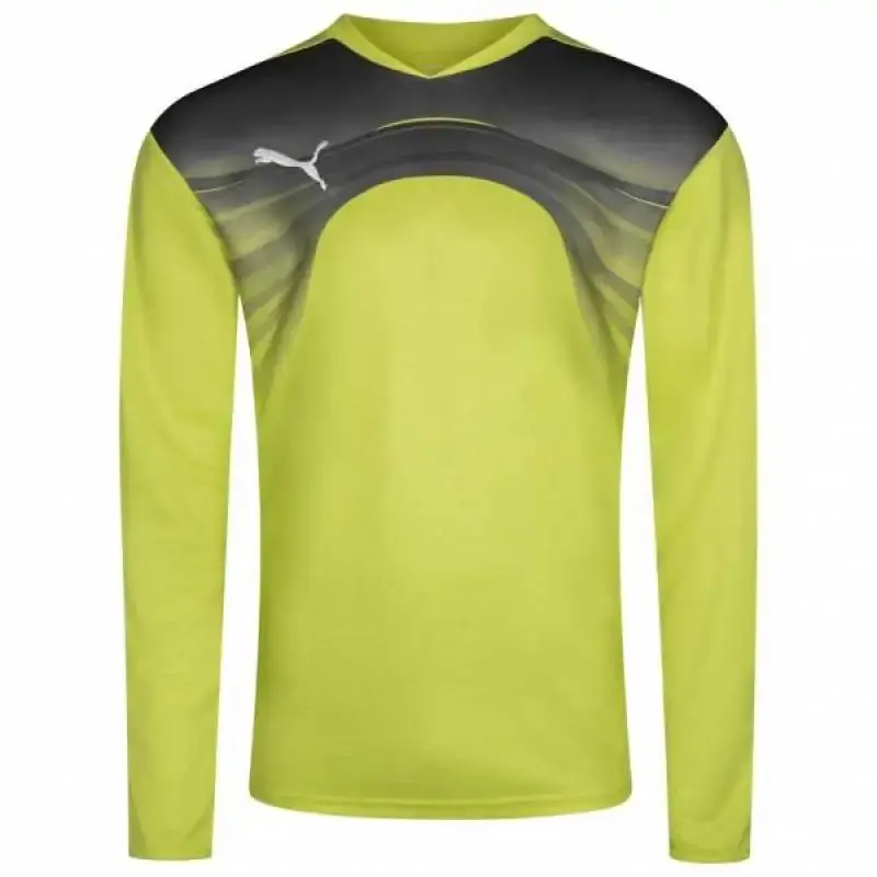 Кофта чоловіча Puma Goalkeeper