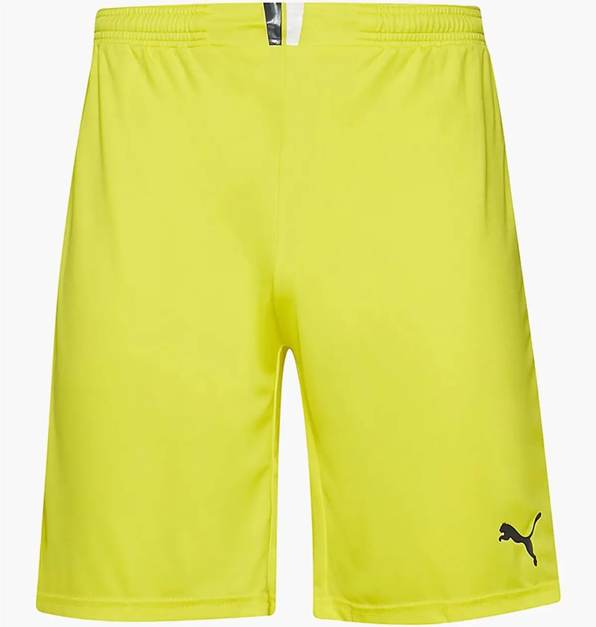Шорты мужские Puma King