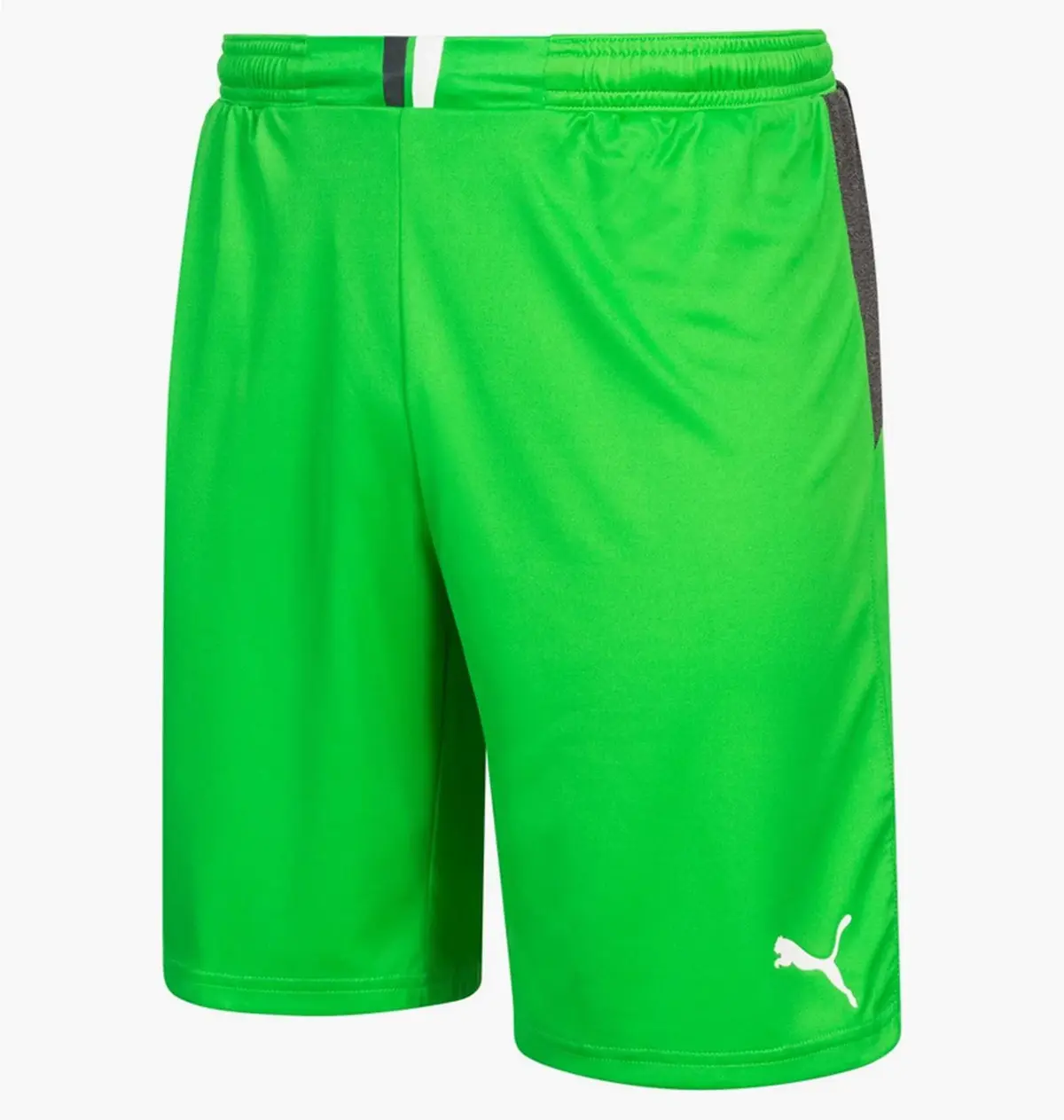 Шорты мужские Puma King