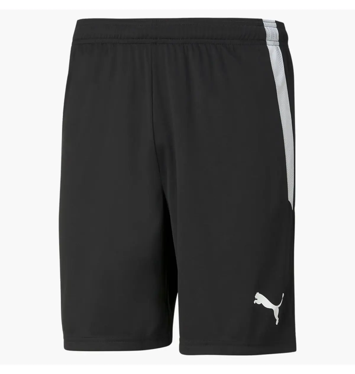 Шорты мужские Puma Teamliga