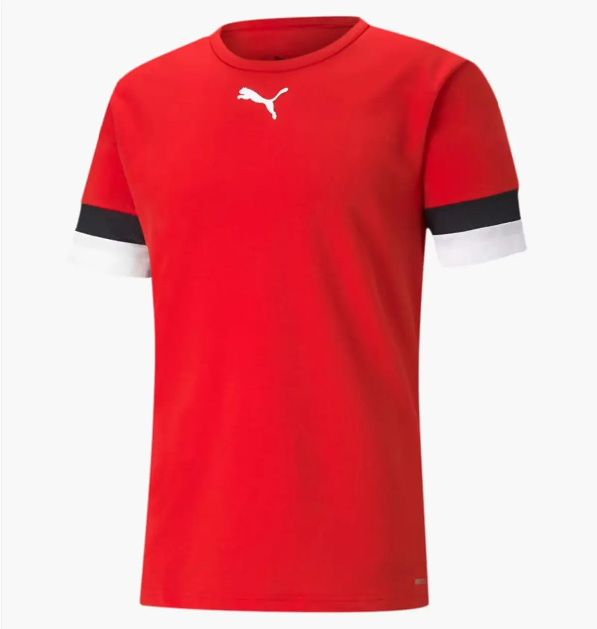 Футболка мужская Puma Teamrise Jersey
