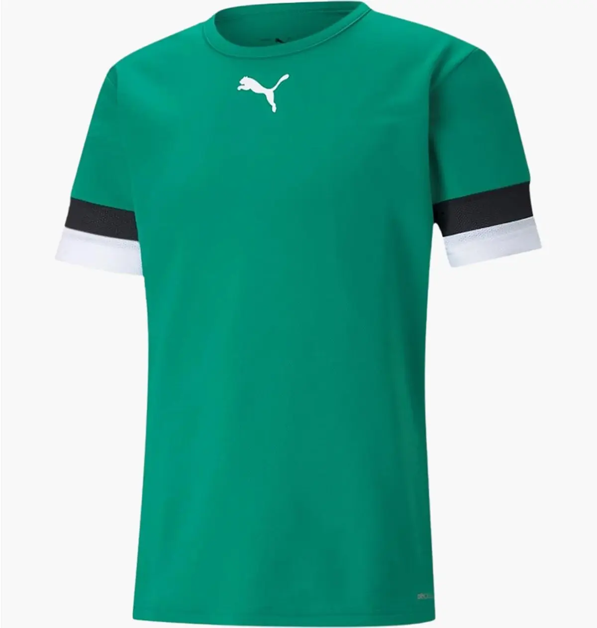 Футболка мужская Puma Teamrise Jersey