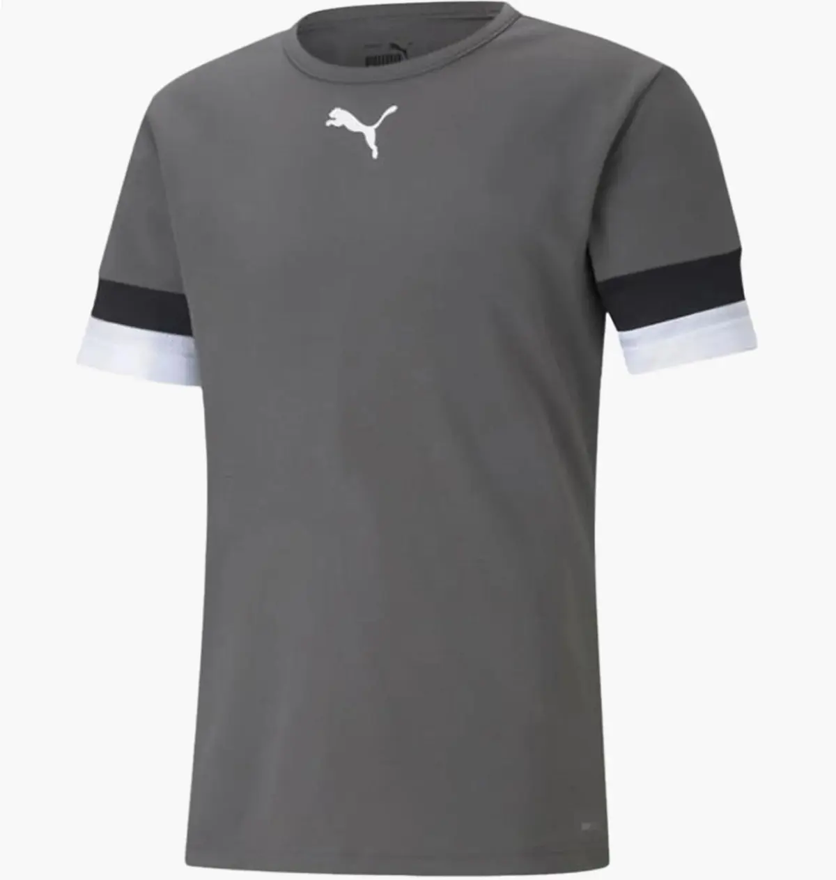 Футболка мужская Puma Teamrise Jersey