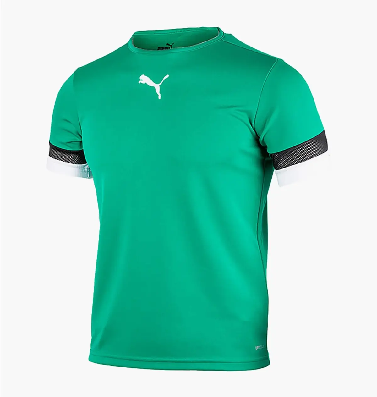 Футболка чоловіча Puma Teamrise Jersey Jr