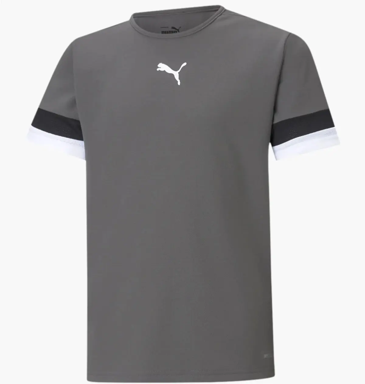 Футболка чоловіча Puma Teamrise Jersey Jr