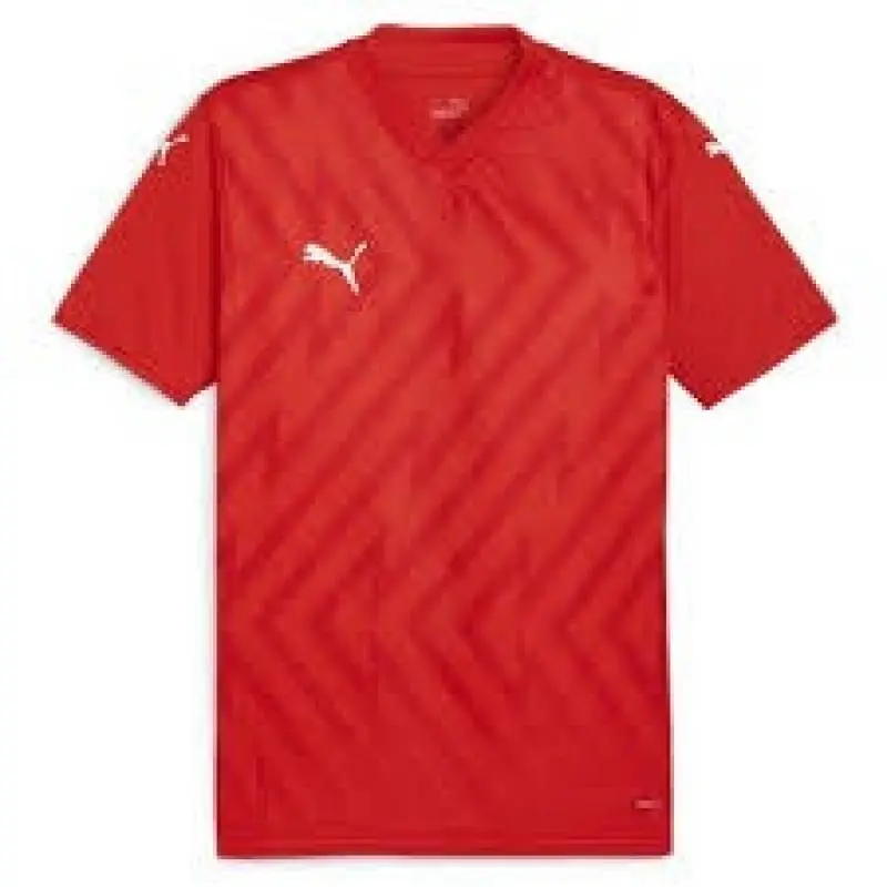 Футболка мужская Puma Teamglory Jersey