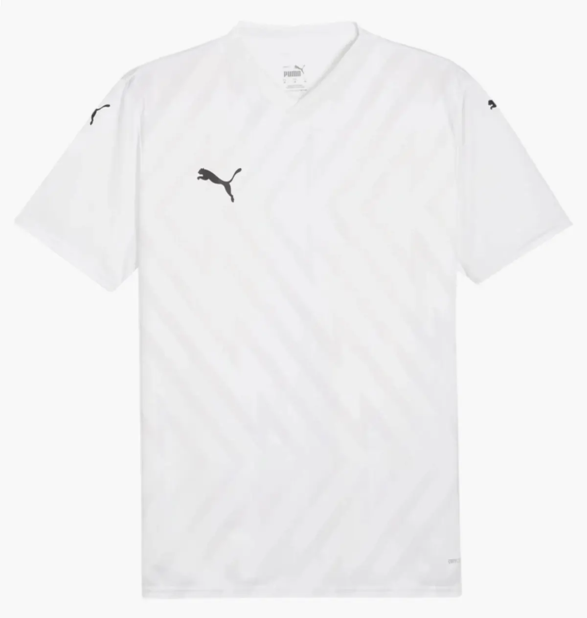 Футболка чоловіча Puma Teamglory біла 705740-04