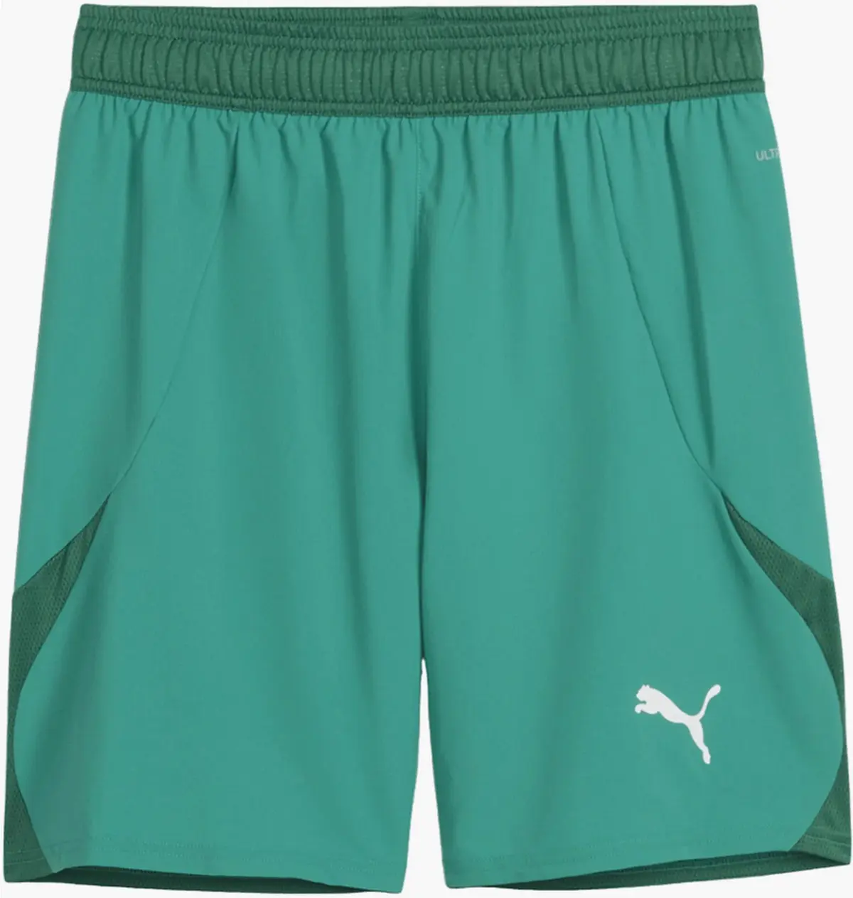 Шорты мужские Puma Teamfinal Short F05 Green