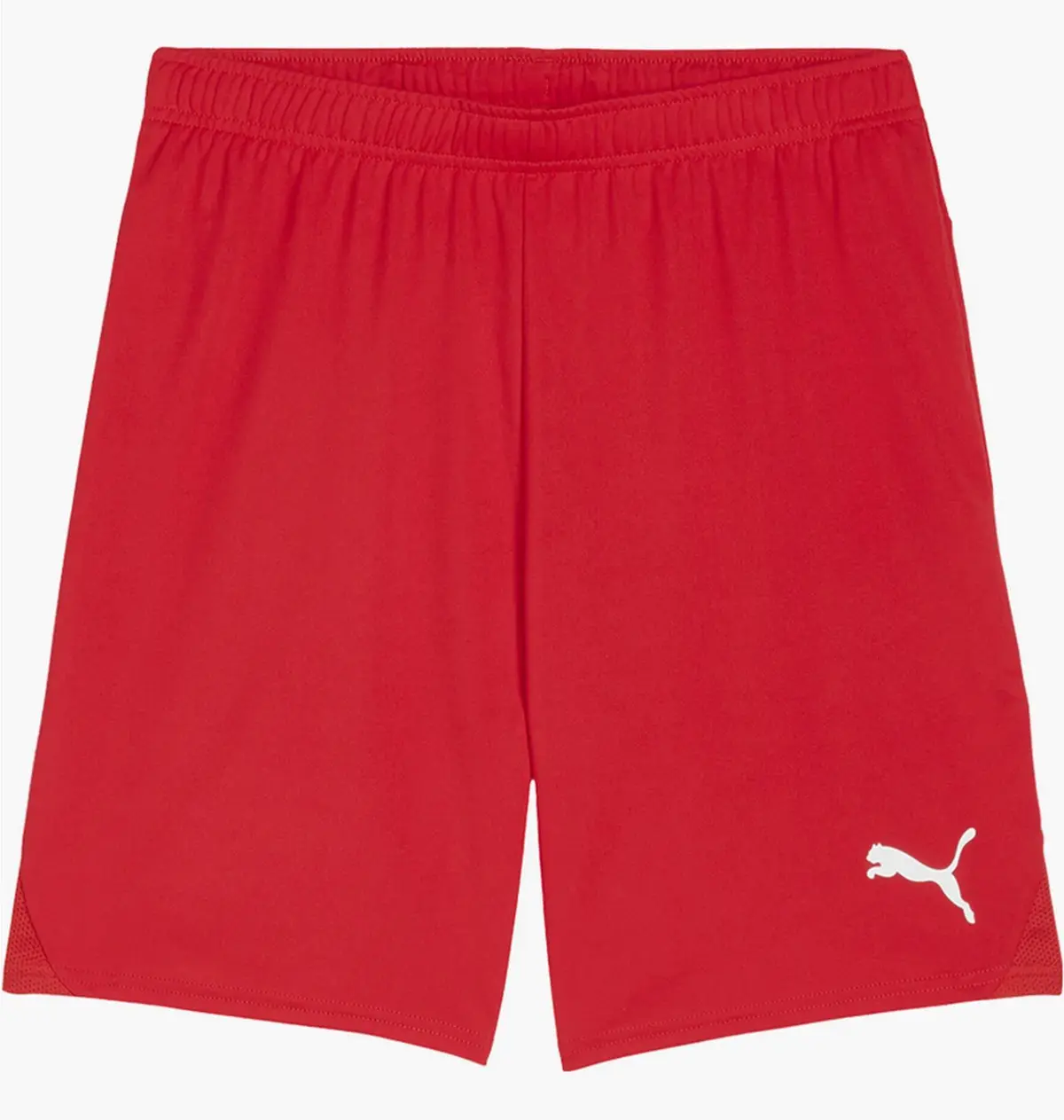 Шорты мужские Puma Teamgoal Red
