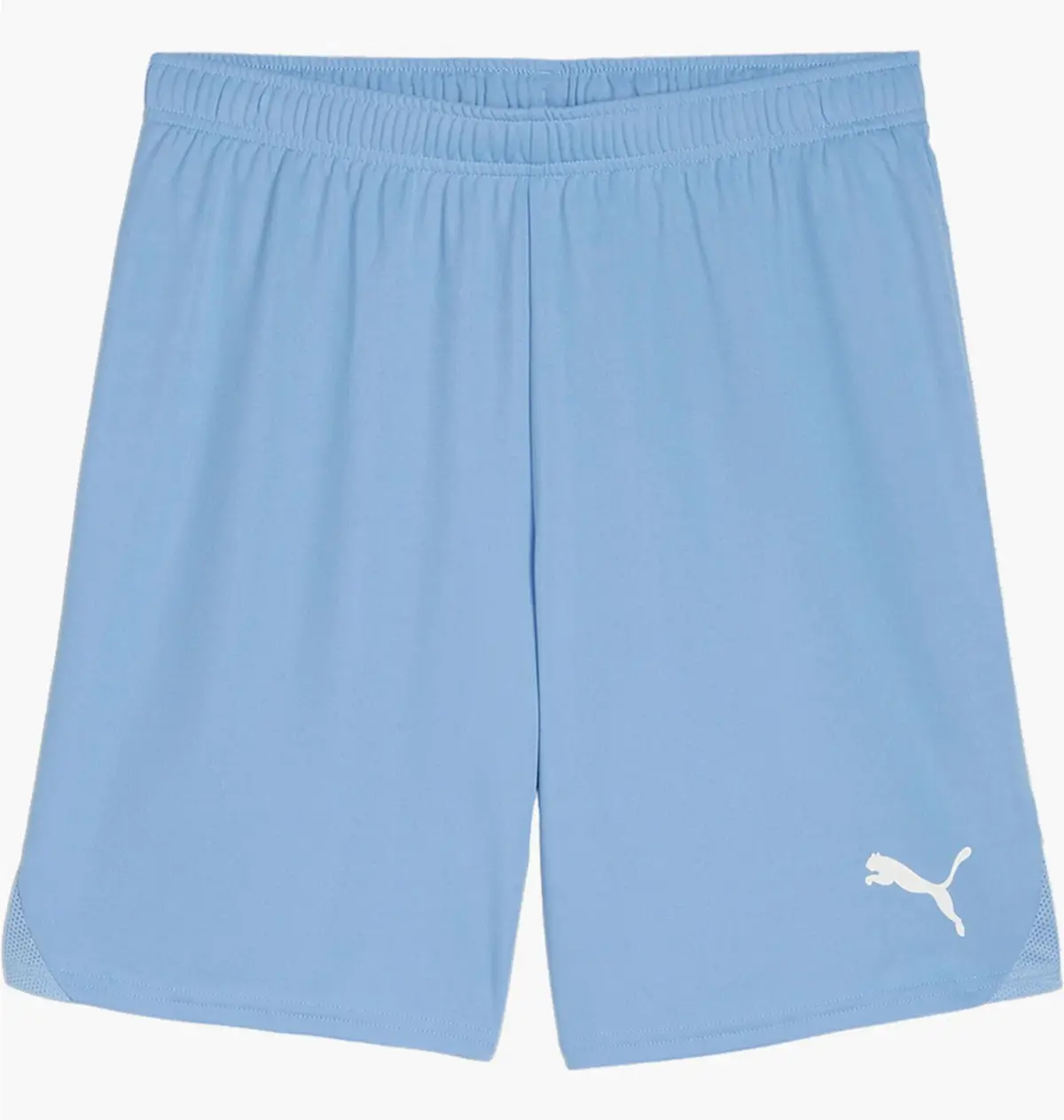 Шорты мужские Puma Teamgoal Wit Light Blue