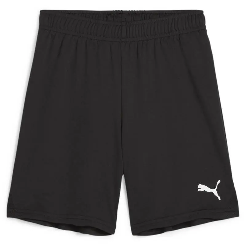 Шорты детские Puma Team Goal