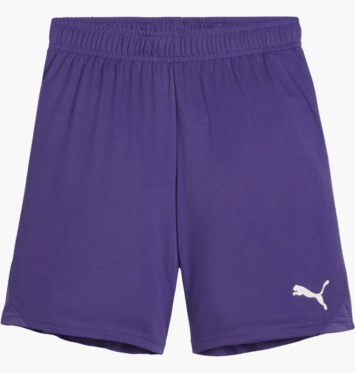 Шорты детские Puma Teamgoal Violet