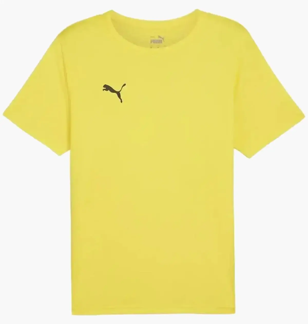 Футболка мужская Puma Teamrise Matchday