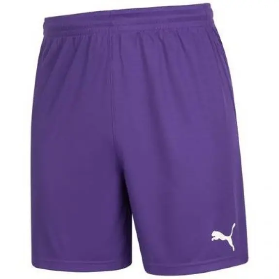 Шорты мужские Puma Shorts