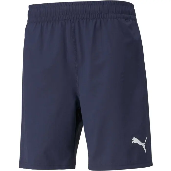 Шорты мужские Puma Teamfinal Shorts