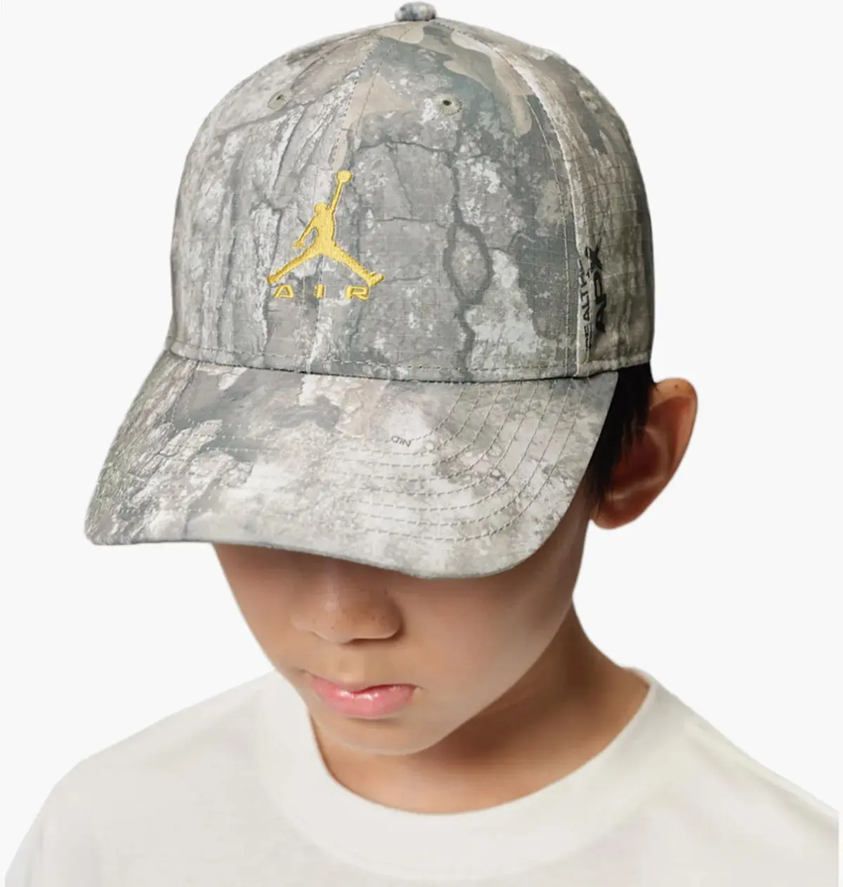 Кепка Jordan Jan Mj Real Tree Rise Grey